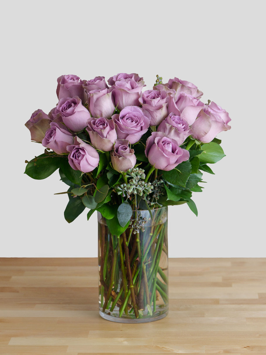 24 Purple Roses