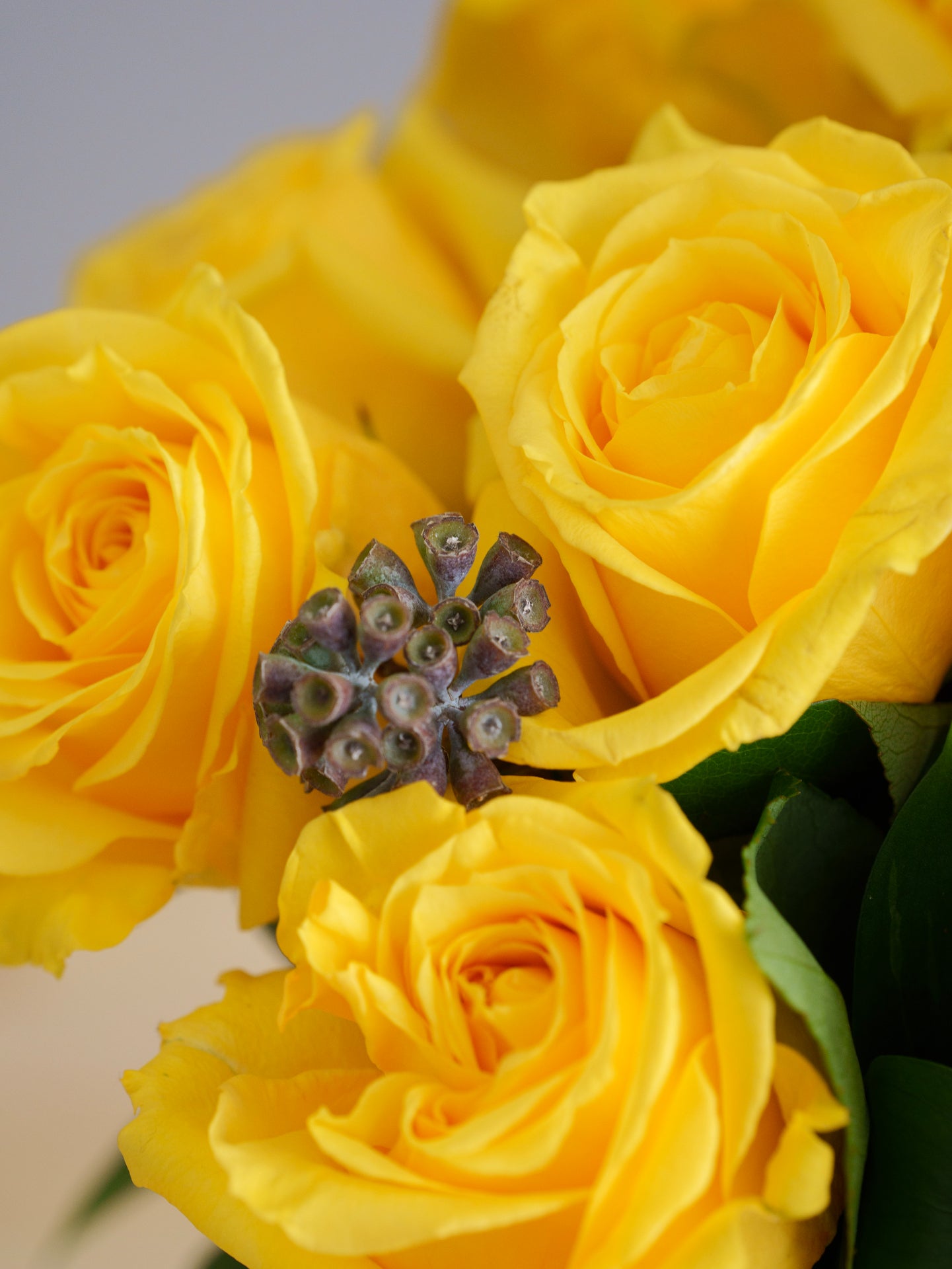 36 Yellow Roses