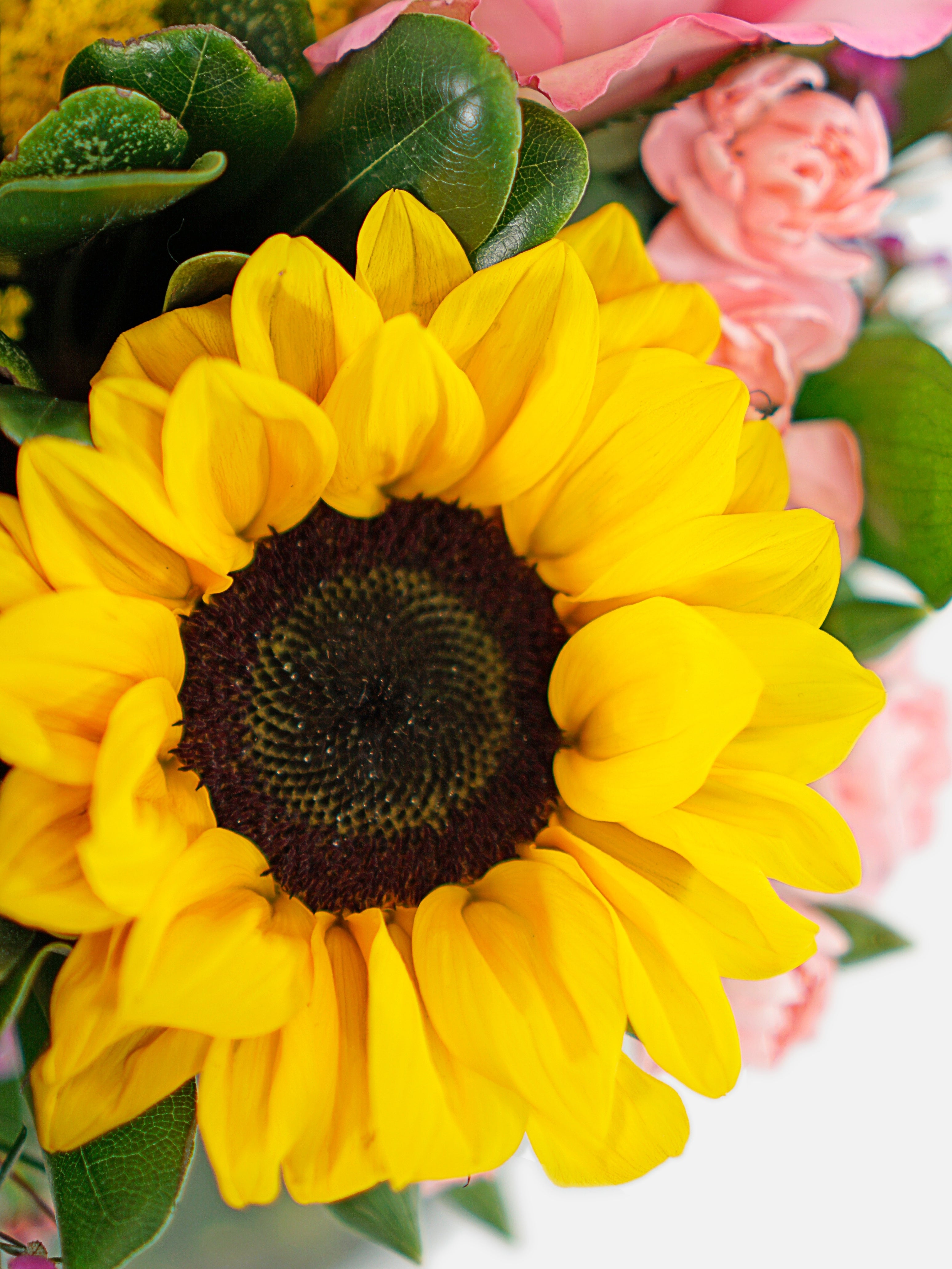 Enchanting Blooms