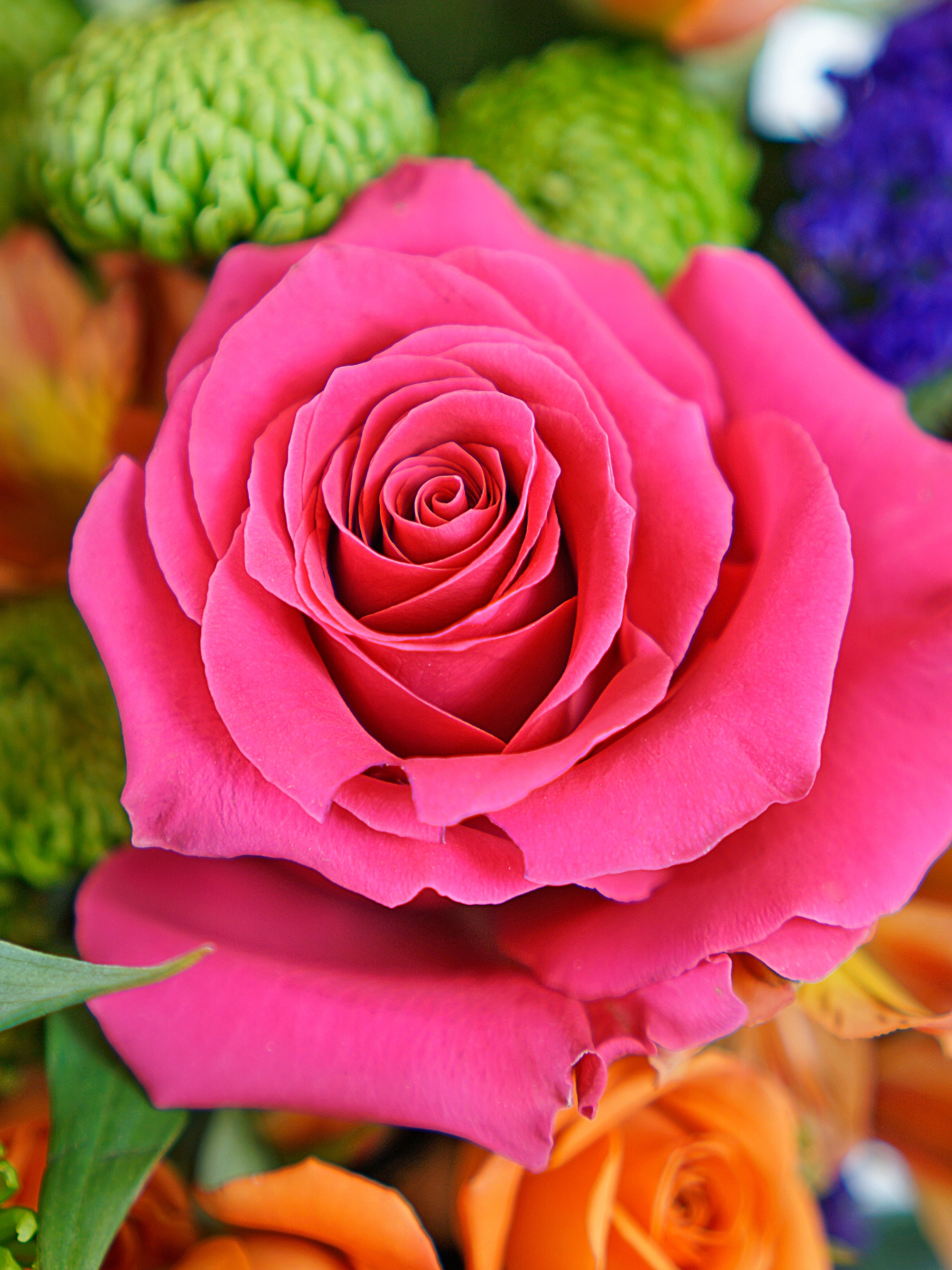 Hues of Happiness