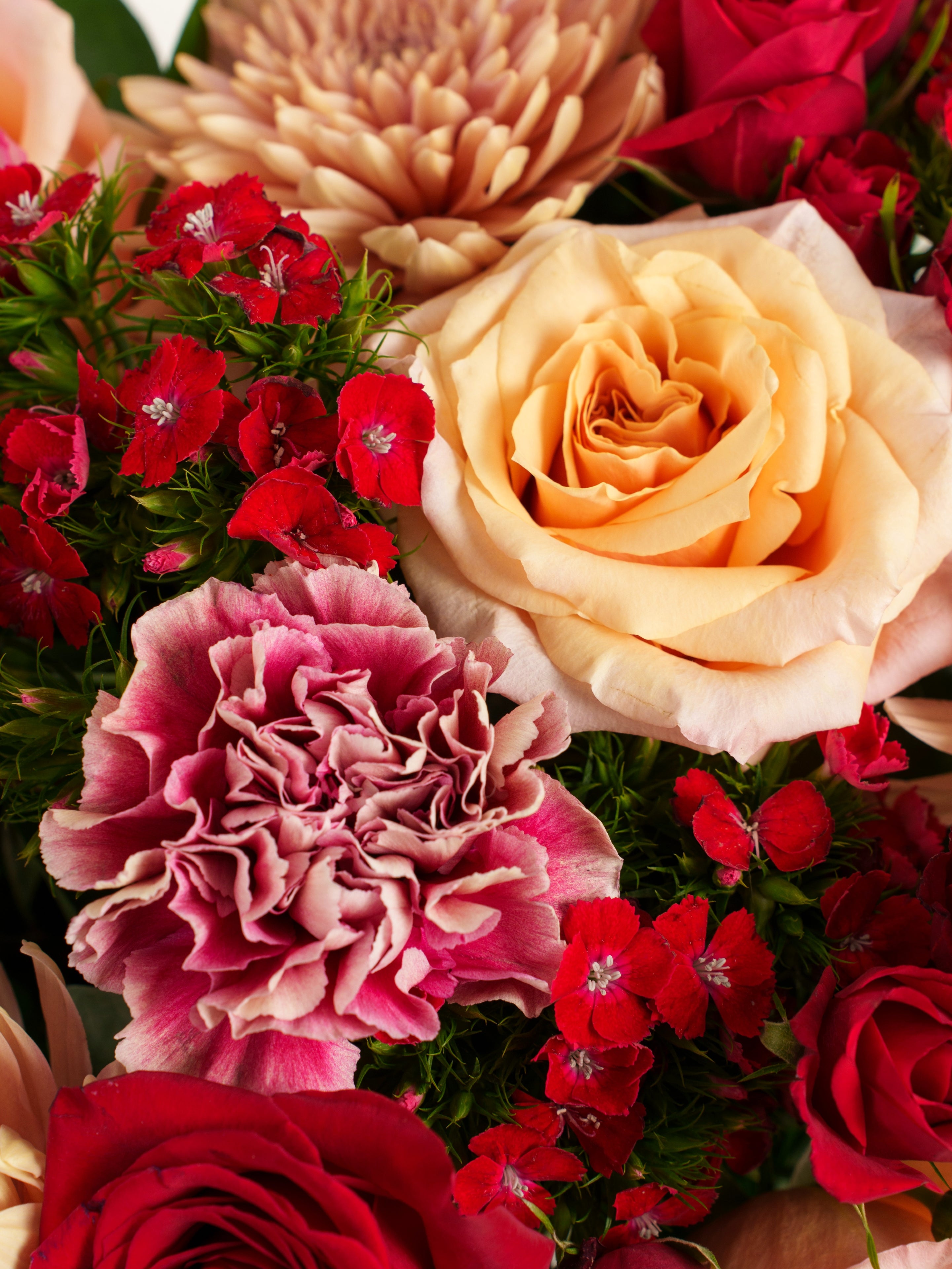 Passion's Palette
