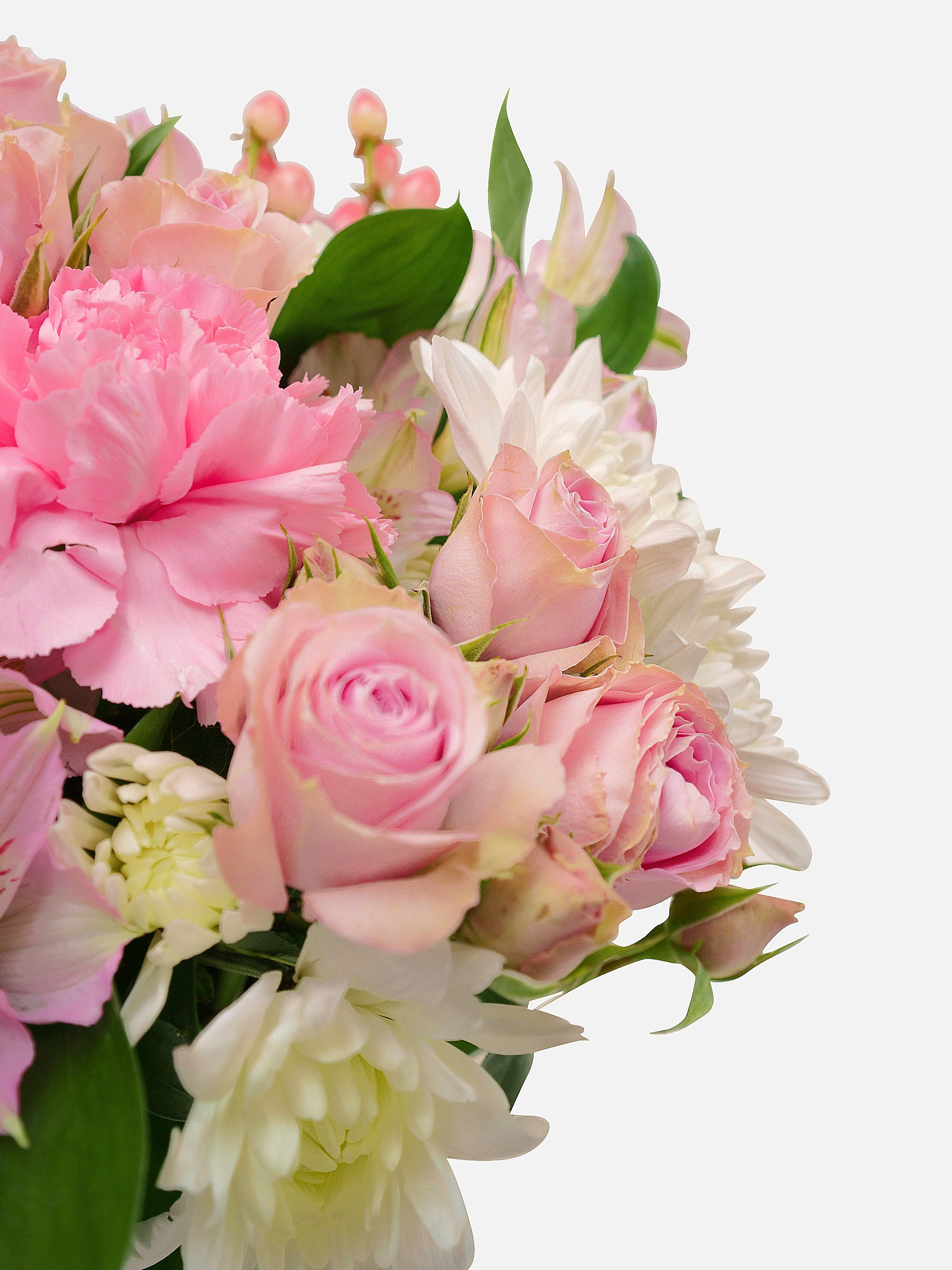 Petals in Pink