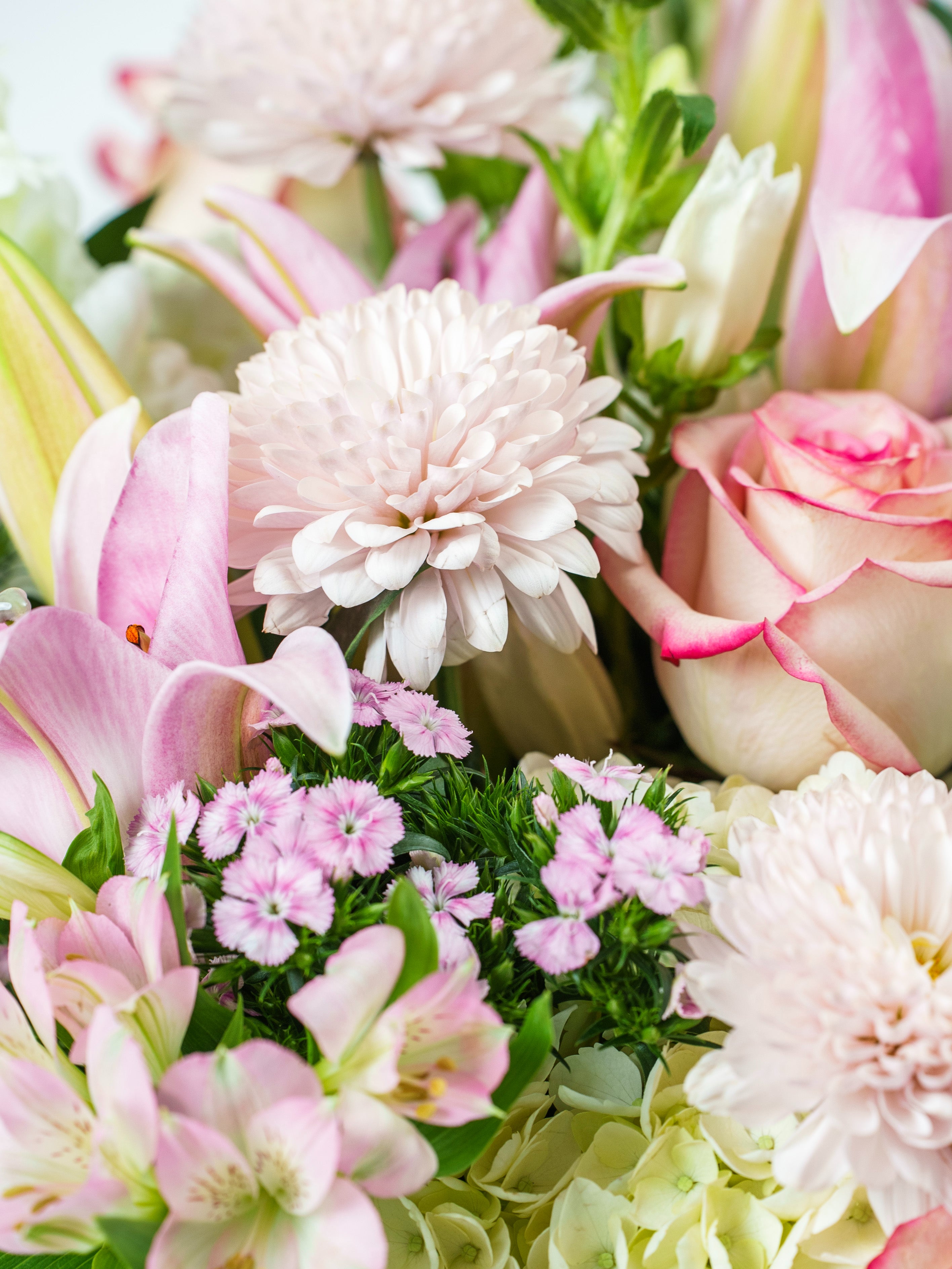 Timeless Blooms