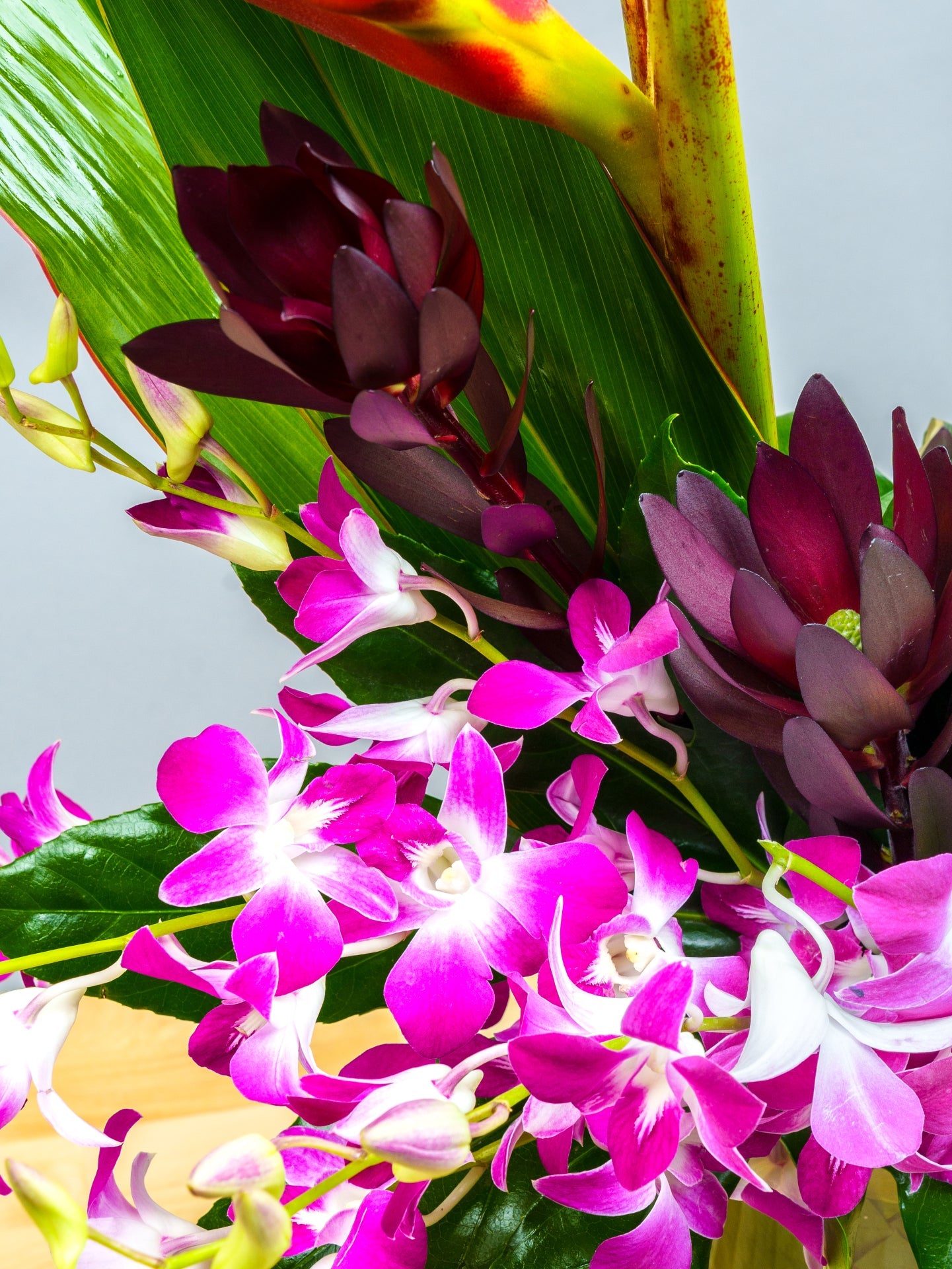 Tropical Haven