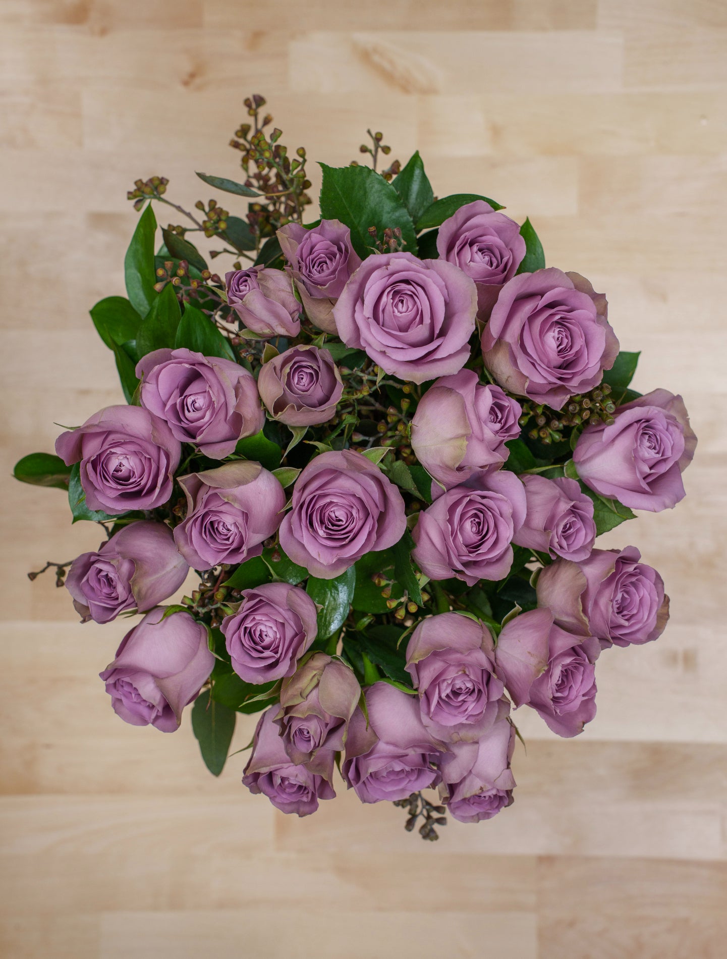 24 Purple Roses