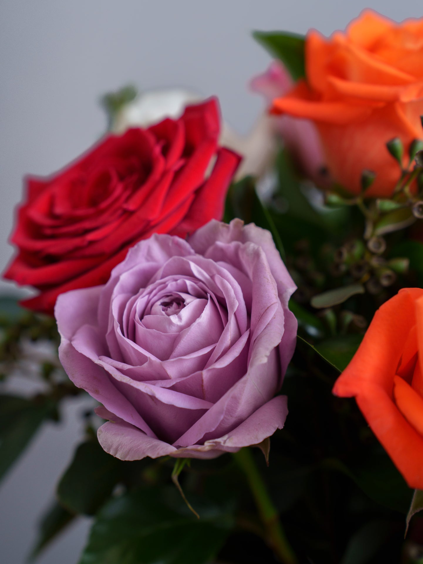 36 Assorted Roses