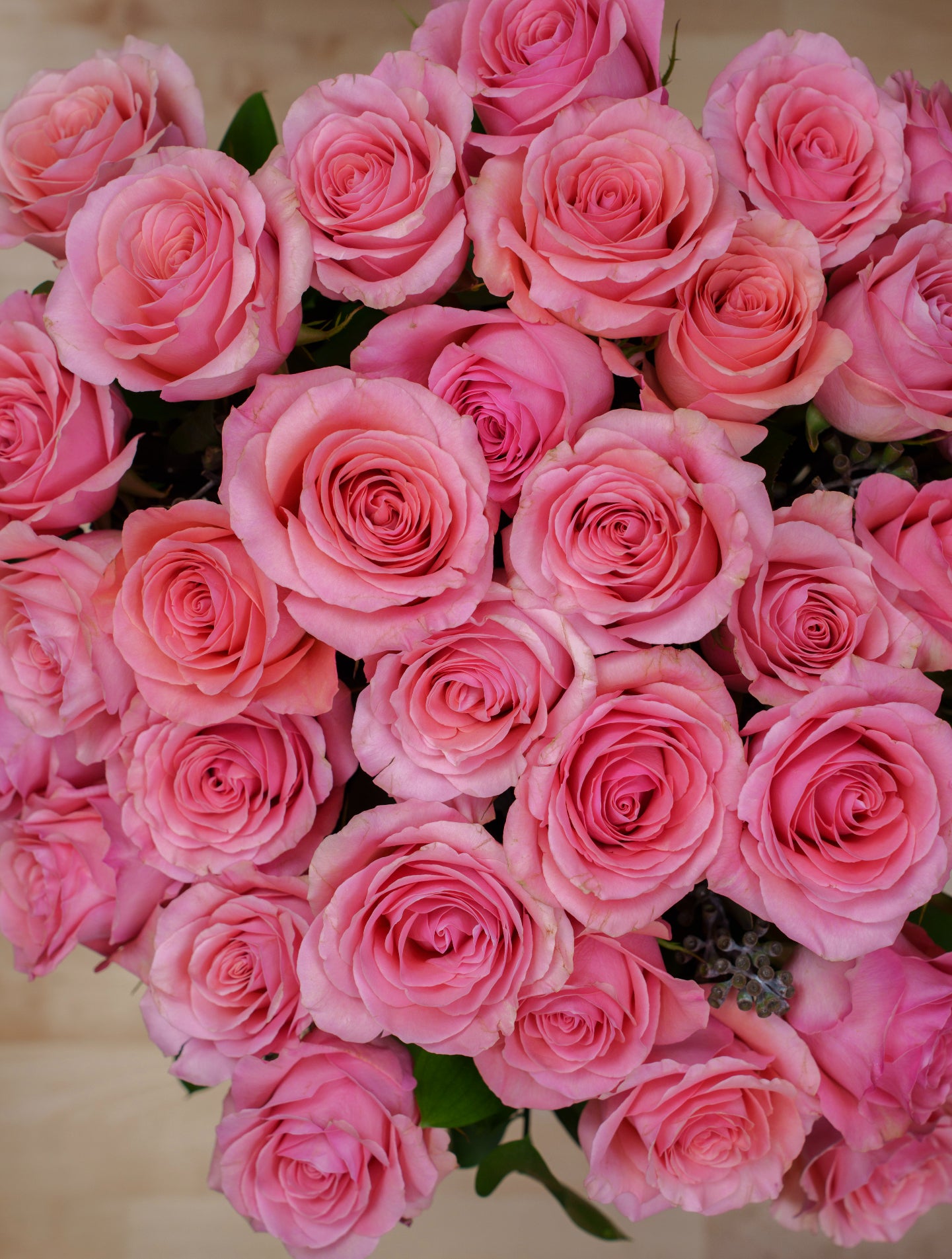 36 Pink Roses