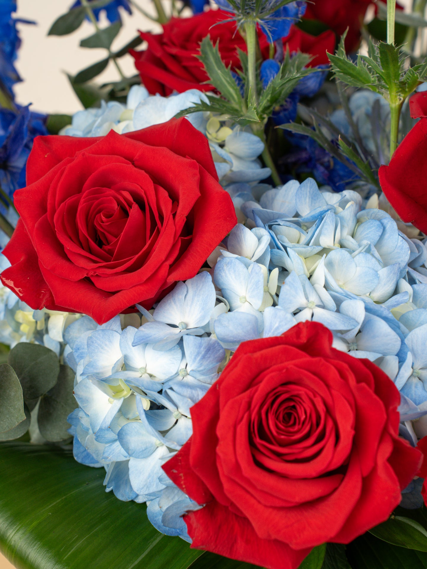 American Beauty — Same-Day Flower Delivery | Open Blooms
