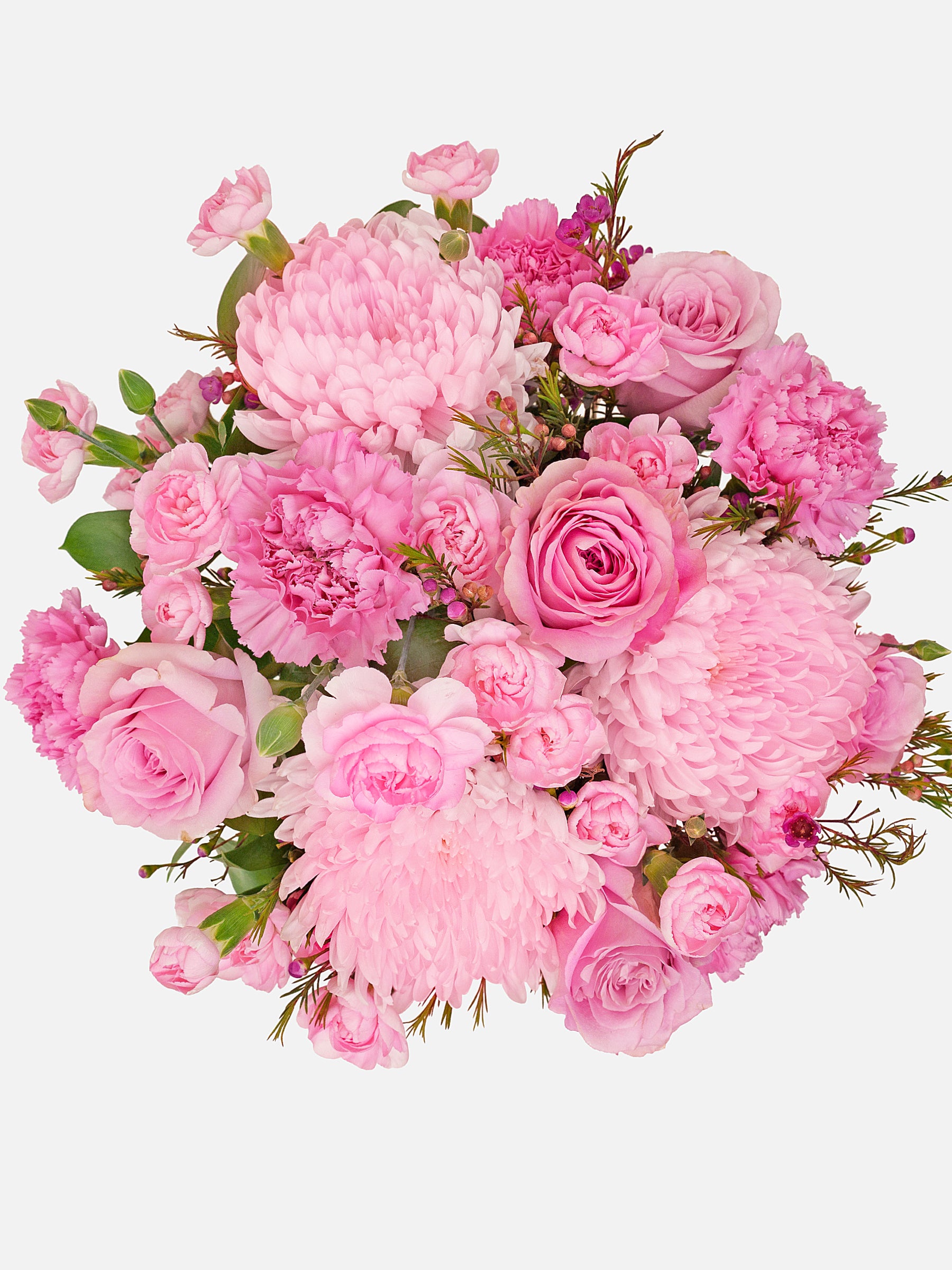 Mother's Day Serenade