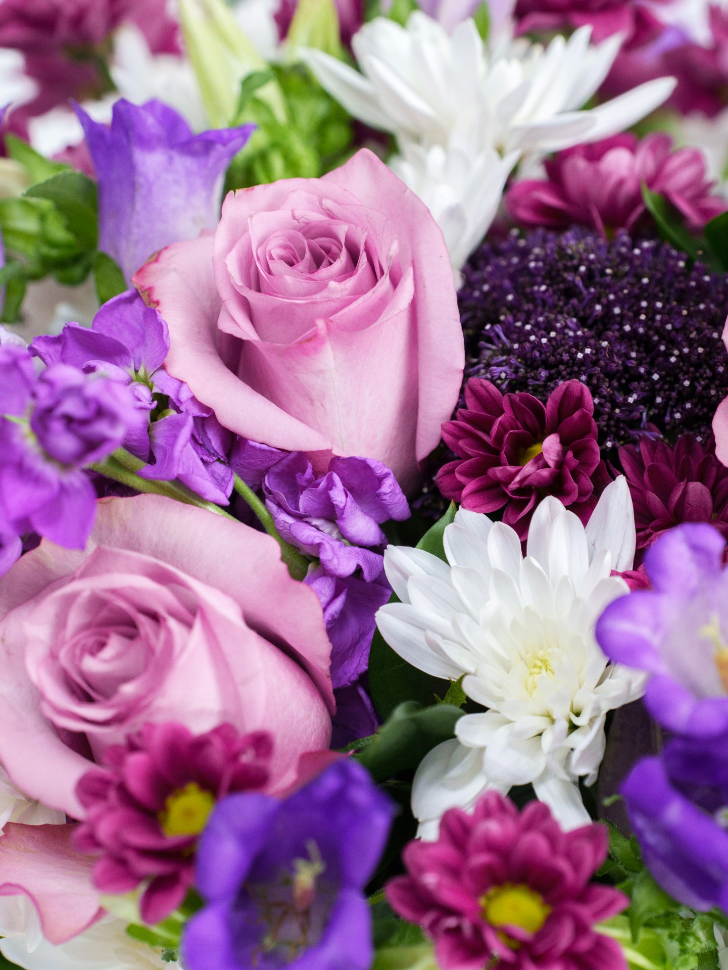 Perfection bouquet with roses, daisy poms & stock in a vase.