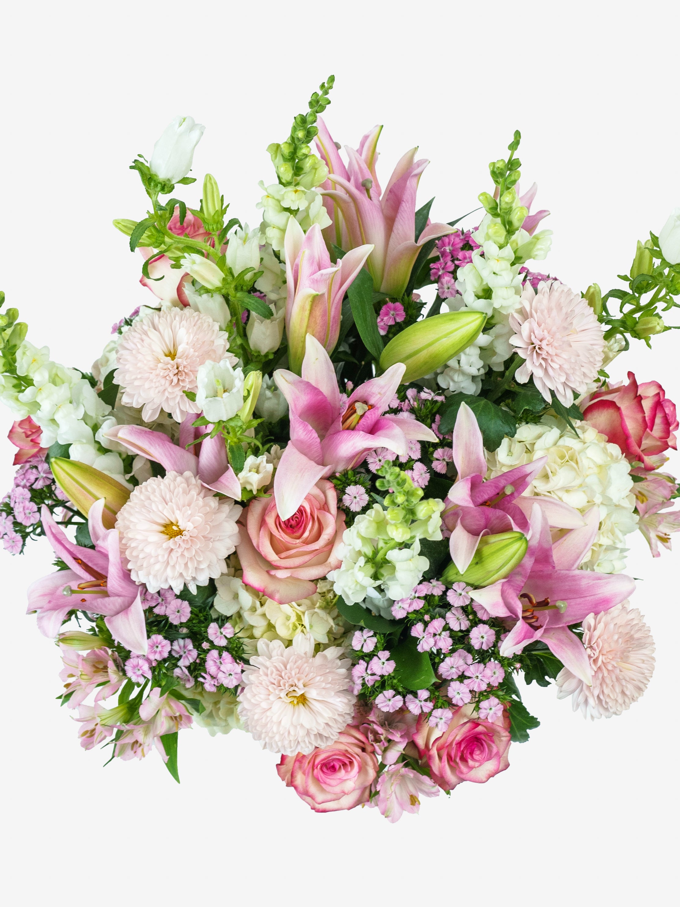 Timeless Blooms