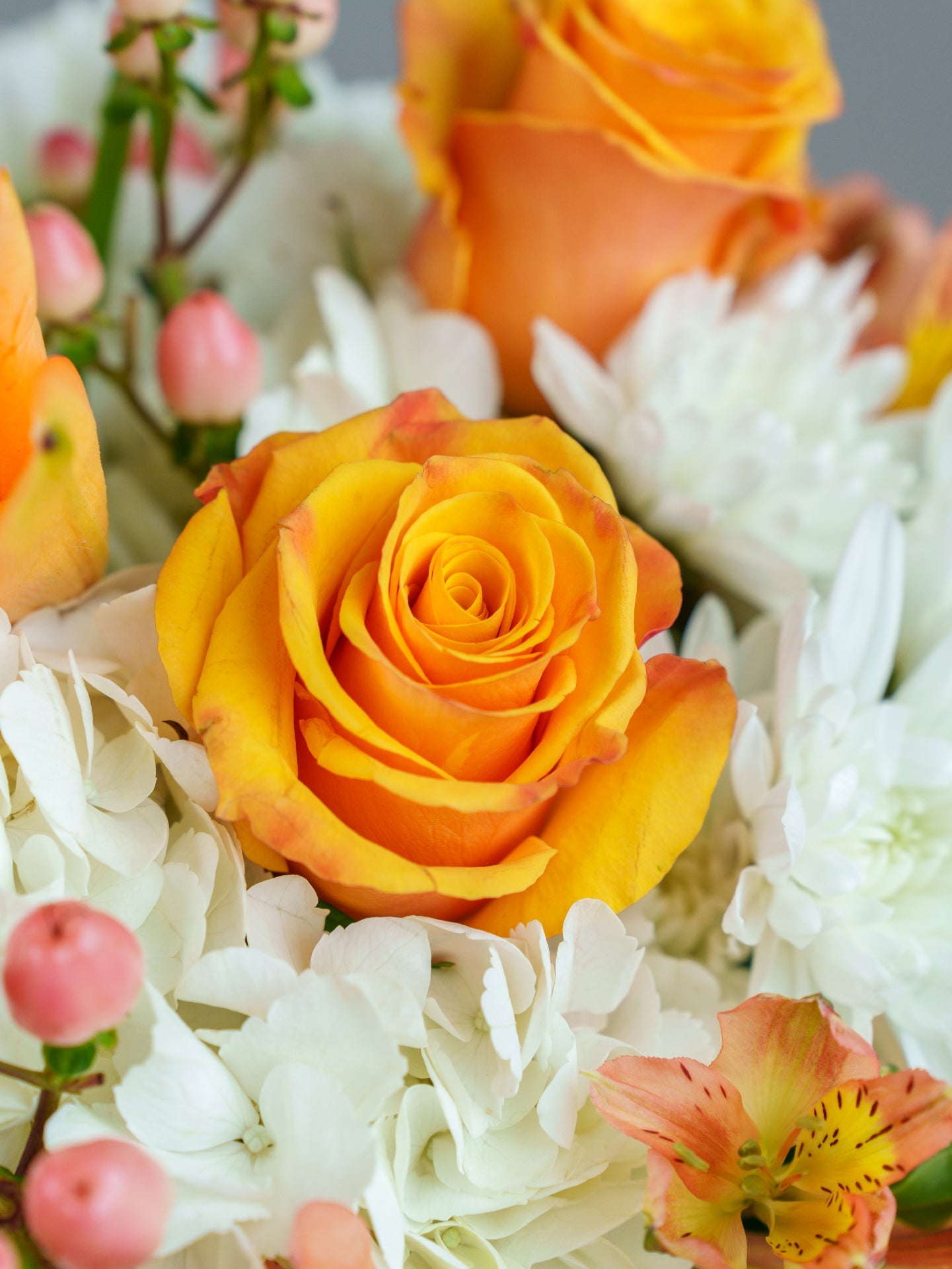 Creamsicle
